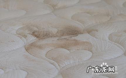 垫子上的霉点怎么去除,床垫霉点用什么可以洗掉