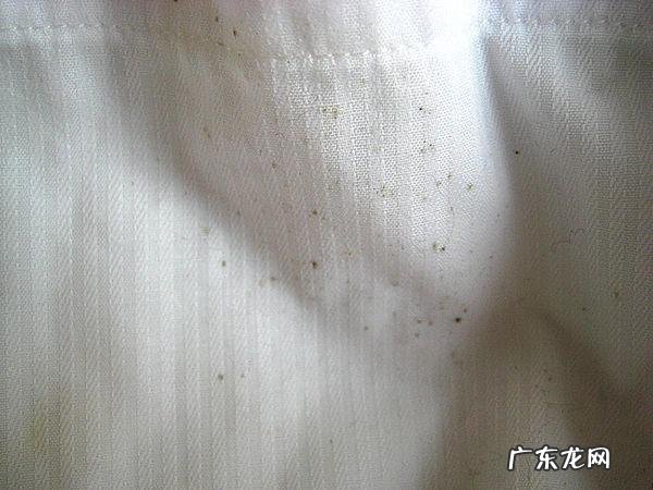 垫子上的霉点怎么去除,床垫霉点用什么可以洗掉