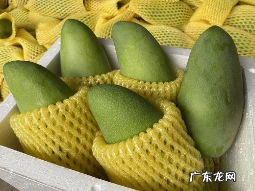 越南青芒果可以直接吃,越南绿芒果怎么吃最好