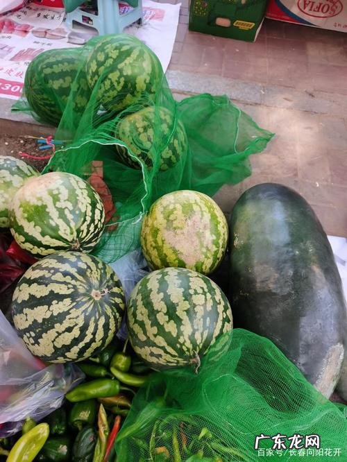 西瓜多少钱一斤,百果园一年西瓜卖多少钱