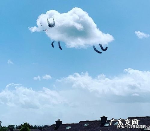 云彩是什么组成的,天上的云是由什么或小水滴组成的物体