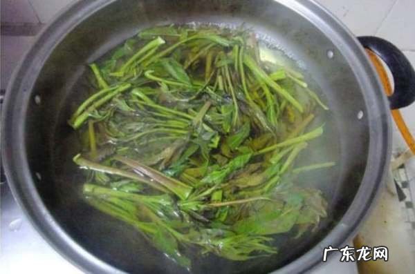香椿摊鸡蛋用焯水吗？,香椿煎蛋香椿要焯水