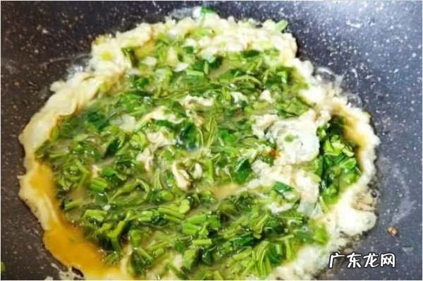 香椿摊鸡蛋用焯水吗？,香椿煎蛋香椿要焯水