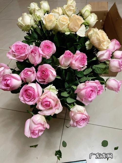 网购玫瑰花如何醒花,新到的玫瑰怎么醒花