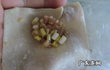 抄手馅要放些什么调料,抄手馅里要放什么佐料好吃