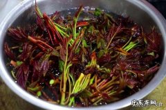 真空袋如何保鲜香椿,香椿叶如何保存时间长