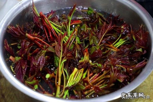 真空袋如何保鲜香椿,香椿叶如何保存时间长