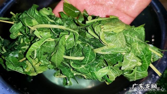 真空袋如何保鲜香椿,香椿叶如何保存时间长