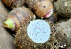 如何区分香芋和芋头,香芋和芋头怎么辨别