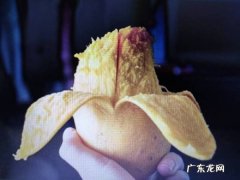 晚上吃芒果有什么坏处,芒果晚上能吃不