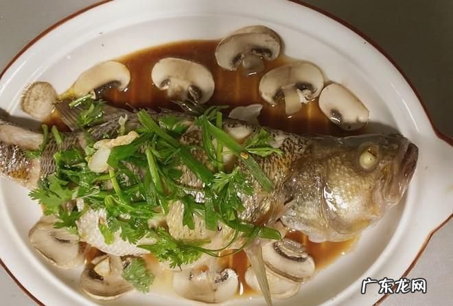 清蒸鲈鱼用蚝油可以,清蒸鲈鱼的汤汁怎样调才最好吃