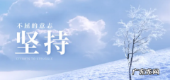 关于坚持美好的句子,有关坚持的优美句子高中生