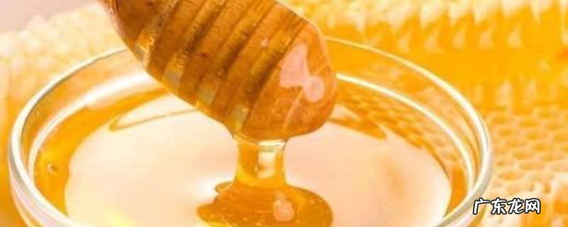 纯正蜂蜜的鉴别方法 纯正蜂蜜怎么辨别