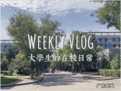vlog是生活领域,生活领域跟vlog领域有什么不同