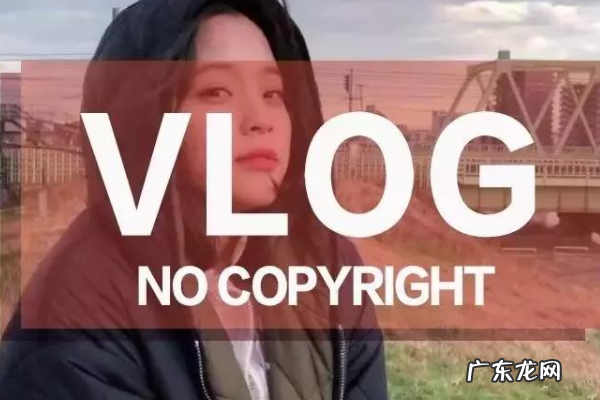 vlog是生活领域,生活领域跟vlog领域有什么不同