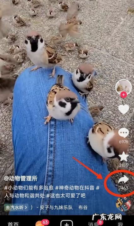 抖音怎么发微信,抖音怎么转发给微信好友