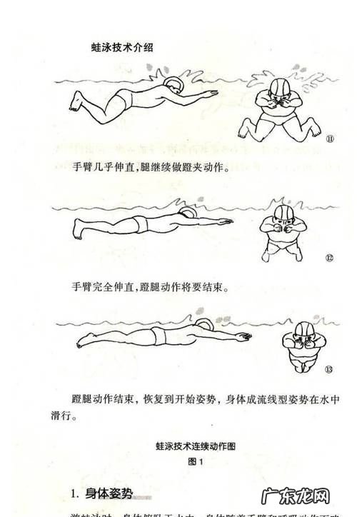 如何教初学者学习蛙泳技术,初学者学蛙泳还是自由泳