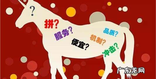 拼多多免拼卡在哪看,拼多多怎么使用免拼机会
