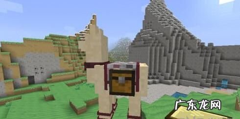 我的世界羊驼鞍长什么样,我的世界马鞍怎么装上去手机版