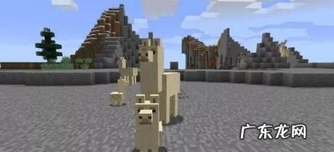 我的世界羊驼鞍长什么样,我的世界马鞍怎么装上去手机版