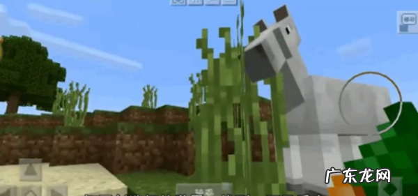 我的世界羊驼鞍长什么样,我的世界马鞍怎么装上去手机版