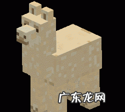 我的世界羊驼鞍长什么样,我的世界马鞍怎么装上去手机版