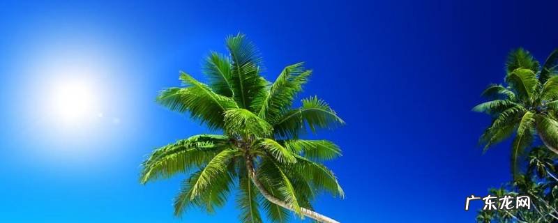判断进入夏天的标准 进入夏天的标准是什么