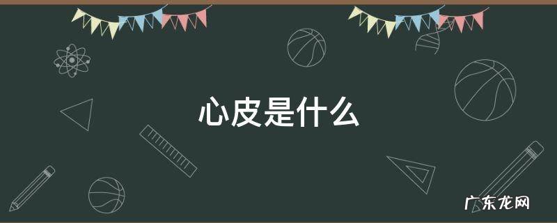 植物的心皮是什么 心皮是什么