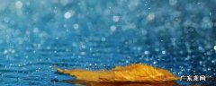 下雨前有哪些自然现象 夏天下雨前有哪些自然现象