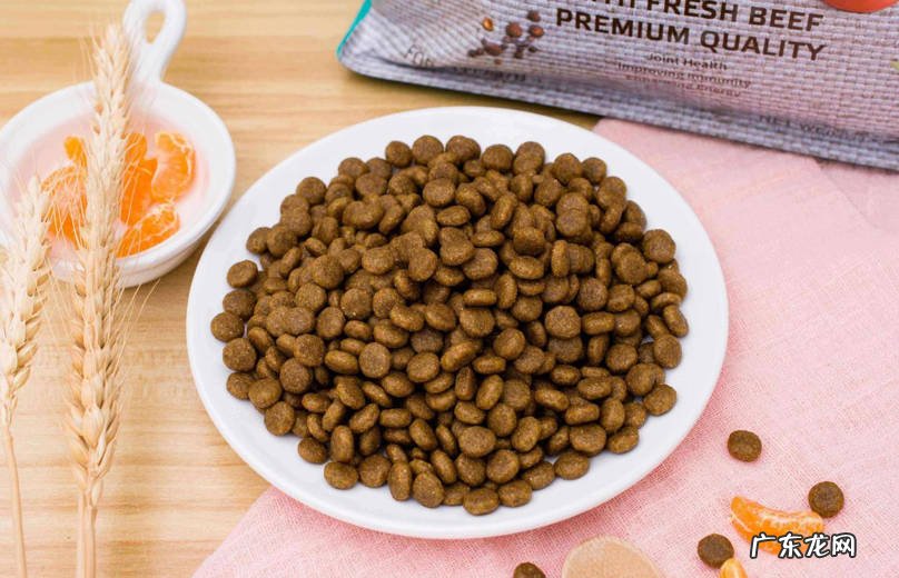 干粮 狗狗的主食有几种类型