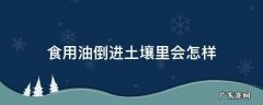 食用油倒进土壤里会怎样 食用油倒在地上怎么处理
