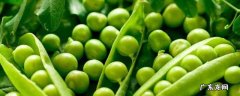豌豆储存方法 豌豆储存的方法