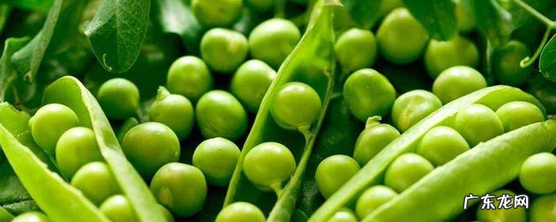 豌豆储存方法 豌豆储存的方法
