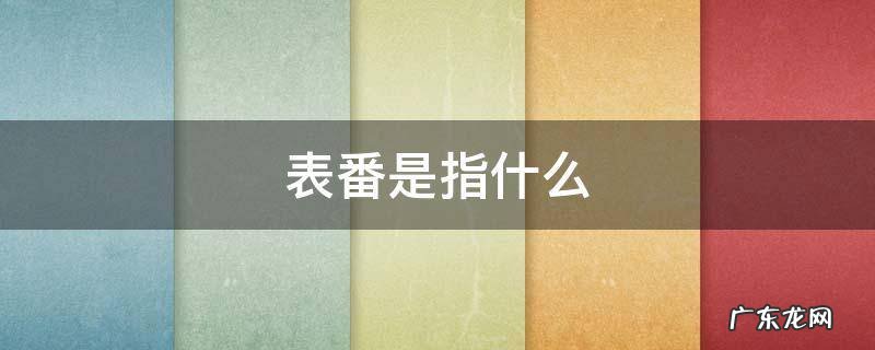 表番是指什么 表番的意思