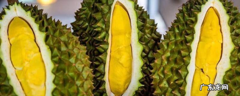 榴莲不熟打开了要怎么放才能熟 榴莲不熟打开了怎么催熟