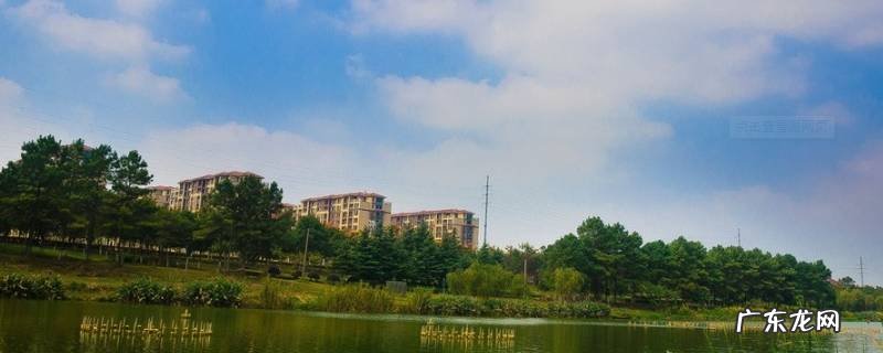 固城是哪个省的城市 固城县是哪个市