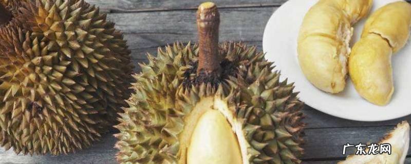 吃不完的榴莲怎么存放 吃不了的榴莲怎么存放