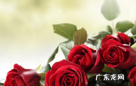 七夕给女朋友送什么礼物比较好,七夕节送女朋友什么礼物好异地恋