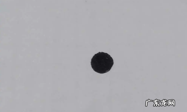 老鼠涂什么颜色最好看,老鼠画法