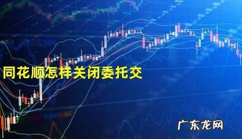 股票怎么撤销委托,股票撤单怎么操作流程