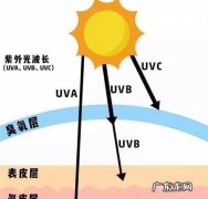 防晒是必须要擦,显示器到底需不需要每天关