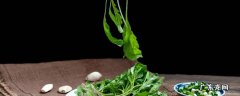新鲜的山野菜怎么保存 野菜怎么保存又鲜又不烂