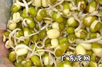 怎么生绿豆芽最快,怎样才能使豆芽长快一点