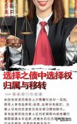 选择之债中的给付不能是什么意思,选择之债的给付指定行为