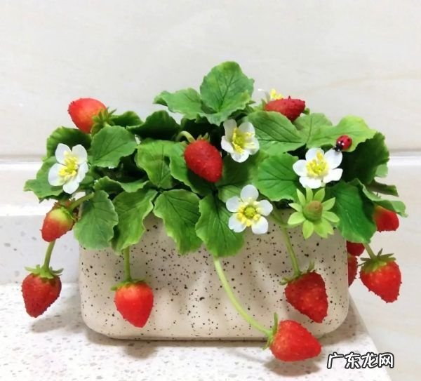 种什么蔬菜好吃,春天农村菜园子里可以种植哪些好种又好吃的蔬菜