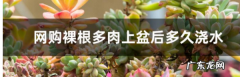 多肉修根后多菌灵泡多久,网购裸根多肉上盆后多久可以晒太阳