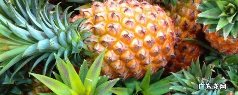 菠萝上的白色花状东西能吃吗 菠萝上的白色花状东西