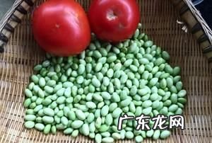 茄汁豆的做法 这道小点很好吃,香焖茄汁黄豆的做法