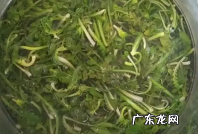 豆腐烧介菜的做法,芥菜疙瘩饺子馅怎么做才好吃