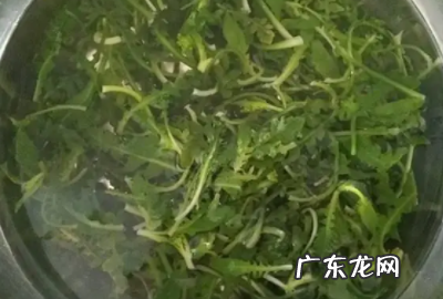 豆腐烧介菜的做法,芥菜疙瘩饺子馅怎么做才好吃